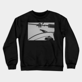 Pigeon #1 Crewneck Sweatshirt